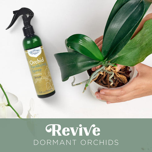 Orchid Fertilizing Spray - Perfect Nutrition and Humidity The Bring Dormant Orchids Back to Life - 8 oz...