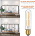 6 Pcs E26 T10 LED Tubular Light Bulbs, Daylight White Edison Bulb 4000K 6W Dimmable T10 Led Bulb for Pendant Lights, Lamps, Outdoor Long Light Bul...