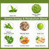 Organic Veda Moringa & Matcha Green Tea Extract Supplement with ECGC, Vitamin C & Antioxidant - Energy Boost & Metabolism Support Moringa Capsules...