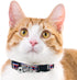 NFL CAT Collar Buffalo Bills Satin Cat Collar Football Team Collar for Dogs & Cats. A Shiny & Colorful Cat Collar with Ringing Bell Pendant...