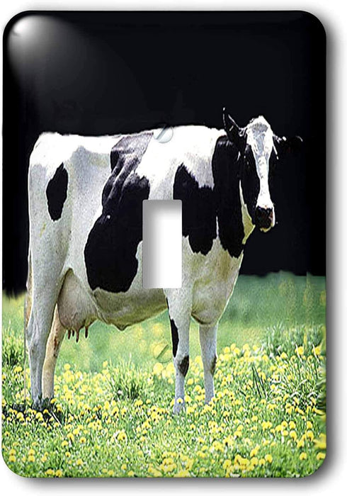 3dRose lsp_624_1 Holstein Cow Single Toggle Switch...