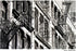 Nitram 807172 Charcoal...