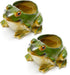 Set of 2 Frog Planter Resin Frog Flower Pot, Bonsai Pot/Flower Pot/Succulent Planter?Multipurpose Pot for Indoor Home Desk Decoration...