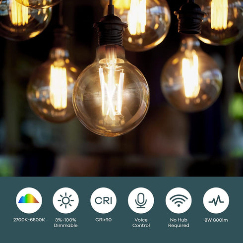 Linkind G25 Globe Smart Edison Bulbs, 2700K-6500K Tunable and Dimmable WiFi Edison Bulbs, 8W(60W Equivalent) Vintage Light Bulbs 800lm, Compatible...