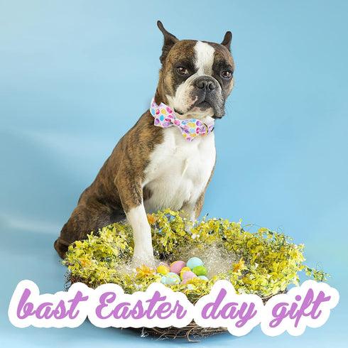 Unique style paws Easter Dog Collar with Bow Colorful Egg Pet Collar Best Gift for Small Medium Large Boys Girls-L...