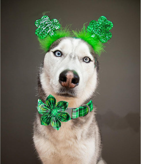 Lionheart glory St. Patrick's Day Dog Collar with Flower Dog Collar for Medium Dogs, Green Plaid Collars Spring Dog Collar Flower Pet Collar Bows ...