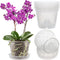 REMIAWY Orchid Pot, 8 Pack Orchid Pots with Holes and Saucers, 5.5 Inch Clear Orchid Pots for Repotting, Plastic Flower Plant Pot Indoor Outdoor, ...