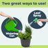 Herb Plant Food for All Edible Herbs, Leafy Greens and Veggies, Liquid Houseplant Fertilizer 8 oz (250mL)...