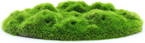 Penn-Plax Aqua-Flora Aquarium Living Resin Decoration with Embedded Glosso Plant Seeds – Moss Patch – Safe and Healthy for Freshwater Fish...