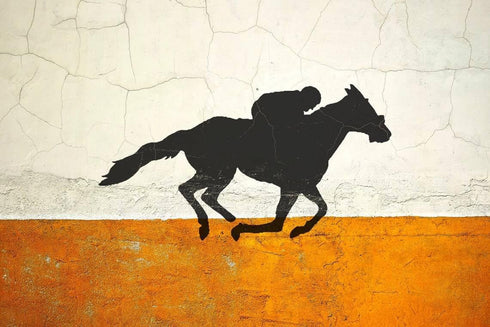 Reusable Race Horse & Jockey Stencil - Durable Plastic Template for Arts, Crafts & Scrapbooking, 11" x 8.5" - Ideal for Airbrush, Painting, Drawin...