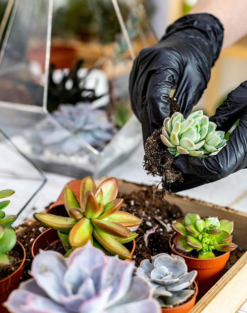 Melphoe 25Pcs Mini Garden Hand Transplanting Succulent Tools Set, 39.4" Thickened Repotting Mat & Plant Tag, Miniature Planting Indoor Fairy Care,...