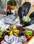 Melphoe 25Pcs Mini Garden Hand Transplanting Succulent Tools Set, 39.4" Thickened Repotting Mat & Plant Tag, Miniature Planting Indoor Fairy Care,...