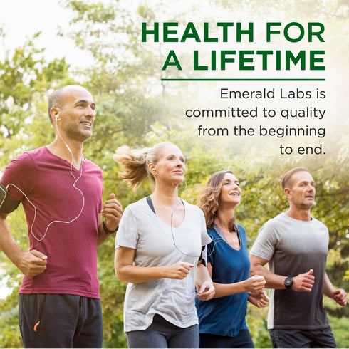 EMERALD LABS MSM Powder - Plant-Sourced Methylsulfonylmethane Supplement for Liver Detox, Joint Health, Skin Health & More - Vegan, Gluten-Free - ...
