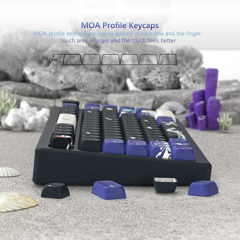 Womier MOA Keycaps, PBT Key caps, Kanagawa Japanese Keycaps 75 Percent, Custom Keyboard Keycaps Set Gradation Dye-Sublimation for 61/64/68/84/87/1...