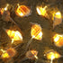Starryfill Ocean Real Conch 10 LED String Lights 9.0Ft Waterproof Battery Operated Warm White with Timer for Beach Themed Indoor Covered Outdoor B...
