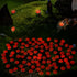 KIMOBER 100PCS Mini Luminous Ladybug Miniature Figurines,Glow in Dark Resin Animals Ladybug Figures for Fairy Garden Micro Landscape Decor Cake To...