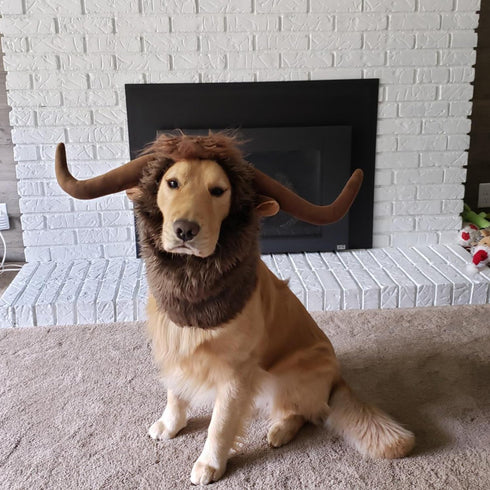 Onmygogo Funny Pet Moose Costumes for Dog, Cute Furry Pet Wig for Halloween Christmas, Pet Clothing Accessories (Bull, Size L)...