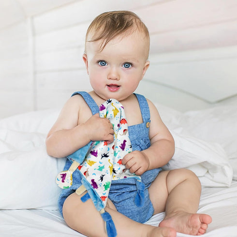 Dr.Rapeti Tag Security Blanket for Baby Infant Toddler Kid 10x10inches Washable Sensory Toy Lovey Appease Blanket (dinosaur)...