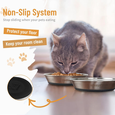 Cat Bowls, 2 Pcs Stainless Steel Cat Bowls for Food and Water, Whisker Fatigue Shallow Non-Slip Cat Dishes Plates for Small Dog Puppies Cats...