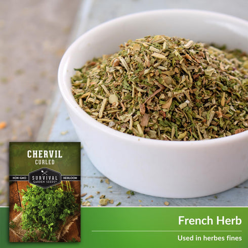 Curled Chervil Seed for Planting - 1 Herb Seed Packet with Instructions to Plant & Grow Aromatic French Herbs in Your Home Herb Garden - Non-GMO H...