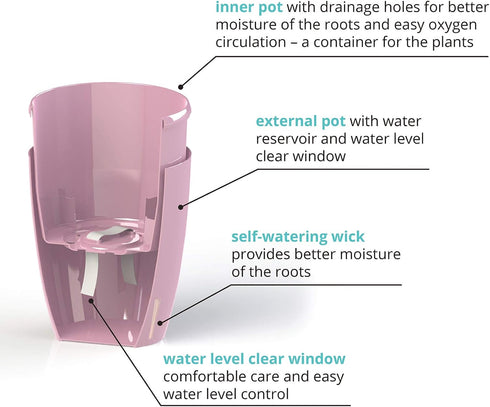 Self Watering Orchids Pot - Plant Pots Ideal for Orchid Flower - Drainage and Water Level Indicator - Planter Pot with Self-Watering Feature(5.5 "...