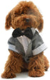 Lovelonglong Pet Costume Dog Suit Formal Tuxedo with Black Bow Tie for Small Dogs Pug Clothing Gray XL...