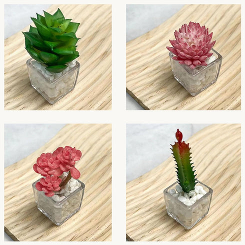 Plant Magnets for Fridge Succulent Artificial Plants Refrigerator Magnets,Funny 3D Resin Decorative Succulent Fridge Magnets Refrigerator Set of 4...