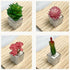 Plant Magnets for Fridge Succulent Artificial Plants Refrigerator Magnets,Funny 3D Resin Decorative Succulent Fridge Magnets Refrigerator Set of 4...