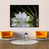 Canvas Wall Art - White Lotus and Black Zen Stones Picture - Modern Wall Decor Gallery Canvas Wraps Giclee Print Stretched and Framed Ready to Han...
