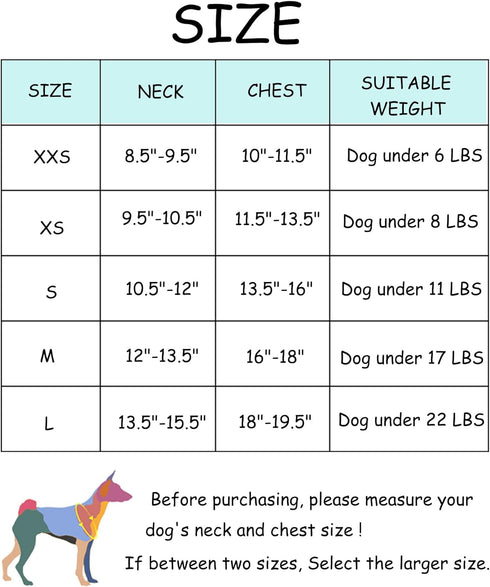 Petank Dog Harness for Small Medium Dogs No Pull, Puppy Harness and Leash Set, Easy Walk Dog Harness for Walking, Running, Training, Small Dog Har...