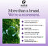 Sleep Essential Oil Blend for Diffuser - Snooze Blend Essential Oil for Sleep with Lavender Roman Chamomile Cedarwood and More - Sleep Aromatherap...