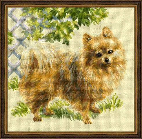 RIOLIS Cross Stitch Kit 9.75"X9.75"-Pomeranian (14 Count)...