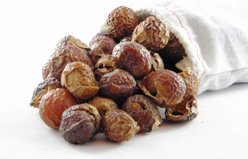 NaturalThings Organic Soap Nuts - Eco-Friendly Laundry Soap Nuts, Hypoallergenic, No Fragrance/Chemicals, 125 Loads Per Pack + 1 wash Bag...