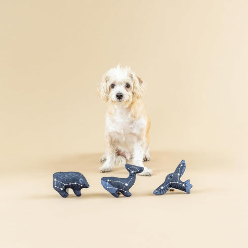 Fringe Studio "It's in The Stars Canvas Dog Toy, Mini Toy Set of 3, PetShop Collection (521016)...