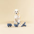 Fringe Studio "It's in The Stars Canvas Dog Toy, Mini Toy Set of 3, PetShop Collection (521016)...