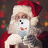for iPhone 15 Case iPhone 15 Christmas Phone Case Glitter Sparkle Liquid Floating Case Shockproof Clear Soft TPU Bumper Case Xmas Santa Claus Sili...
