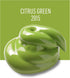 FolkArt Multi-Surface Paint in Assorted Colors (2 oz), 2915, Citrus Green...