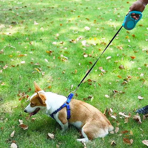 Retractable Dog Leash Lightweight 10/16FT Leash with Non-Slip Handle, for Small Medium Dogs (Gray Pink, 16 FT)...