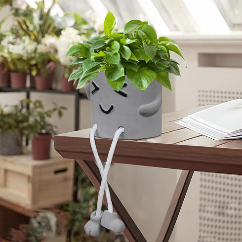 1pcs Indoor Hanging Planter with Feet,Cute Face Planter pots Succulent Planter,Flower Pot,Plant Planter,Office Decor,Gift Idea (Squinty)...