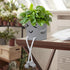 1pcs Indoor Hanging Planter with Feet,Cute Face Planter pots Succulent Planter,Flower Pot,Plant Planter,Office Decor,Gift Idea (Squinty)...