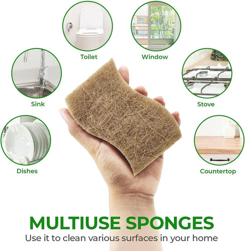 24 Pack Natural Kitchen Sponge - Biodegradable Compostable Cellulose and Coconut Scrubber Sponge - Eco Friendly Sponges for Dishes...