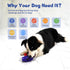 Dog Chew Toys for Aggressive Chewers, Dog Toys for Aggressive Chewers, Natural Rubber Dog Toys for Medium Large Dogs, Large Dog Toy, Durable Dog T...