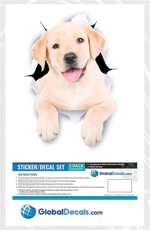 Winston & Bear 3D Dog Stickers - 2 Pack - Cute White Labrador Retriever Stickers for Wall, Fridge, Toilet and More - The Best Lab Gifts - Retail P...