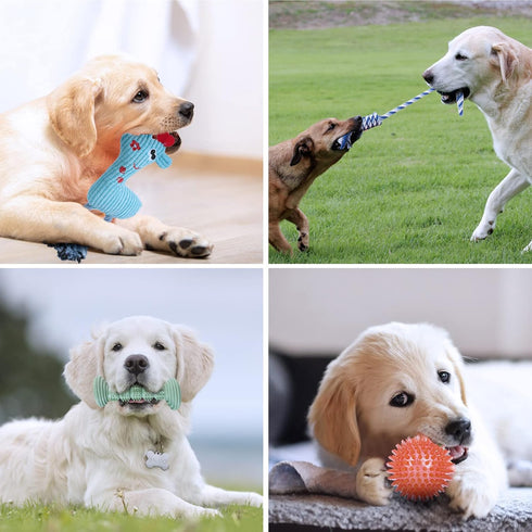 Puppy Toy for Teething Soft & Durable 6-pack Dog Chew Squeaky Toys for Small and Medium Dogs Suitable for 2-8 Months Puppies’ Teething Small Dog T...
