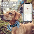 Auroth Airtag Dog Collar, Adjustable Air Tag Case Holder Dog Collar for Medium Large Dogs, Airtag Dog Collar Holder with Heavy Duty D Ring Tangle ...