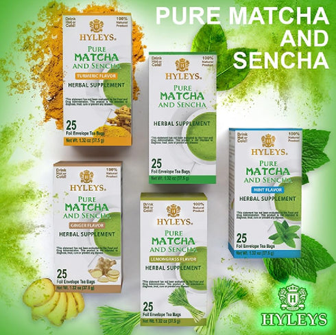 Hyleys Matcha Tea Bags with Turmeric - 25 Tea Bags (Japanese Pure Matcha Wellness Green Tea)...