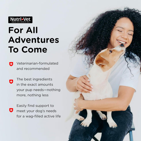 Nutri-Vet Probiotics Capsules for Dogs | Supports Digestive Health | For All Size Dogs | Promotes Healthy Immune System | Vet Formulated | 60 Coun...