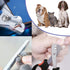 Pet Nail Clippers and Trimmers Set Safety Guard to Avoid Over Cutting Razor Sharp Blades Grooming Tool for All Small Large Dog Cat Red...