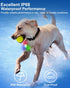 Dog Lights for Night Walking, 2 Pack 4 Modes Dog Collar Light, Rechargeable Dog Walking Light for Nighttime Clip On, IP68 Waterproof Safety Light ...
