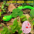 Liberty Imports 16 Inch Remote Control Rattle Snake Toy, Realistic Reptile Robot with Egg Shaped Infrared Receiver, RC Snake Prank Toy Ideal Gift ...